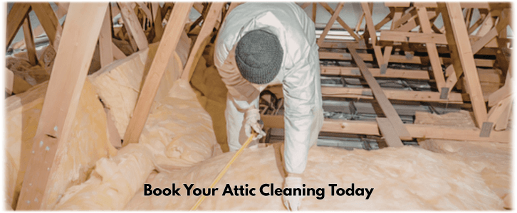 Attic Cleaning North Palm Beach